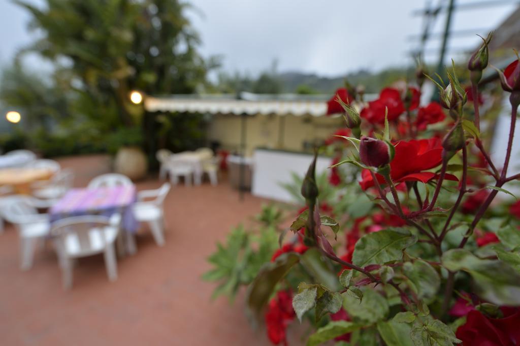 Residence Elvira Diano Marina Buitenkant foto
